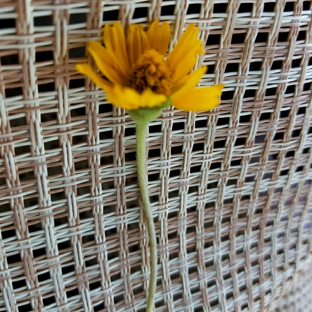 Meet your Posher, Tori